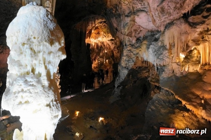 Zdjęcie w galerii na portalu naszraciborz.pl: Chorwacja czy Czarnogóra? Z Orinoko tu i tu dojedziesz bezpośrednio z Raciborza wiadomości z regionu