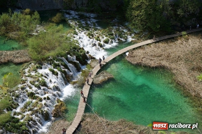 Zdjęcie w galerii na portalu naszraciborz.pl: Chorwacja czy Czarnogóra? Z Orinoko tu i tu dojedziesz bezpośrednio z Raciborza wiadomości z regionu