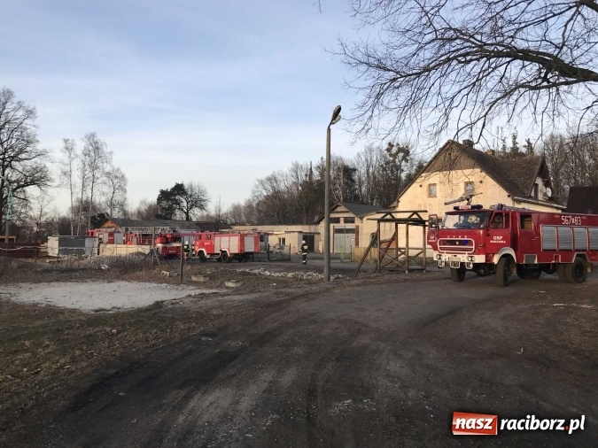 Zdjęcie w galerii na portalu naszraciborz.pl: Pożar w tartaku w Kuźni Raciborskiej FOTO wiadomości z regionu