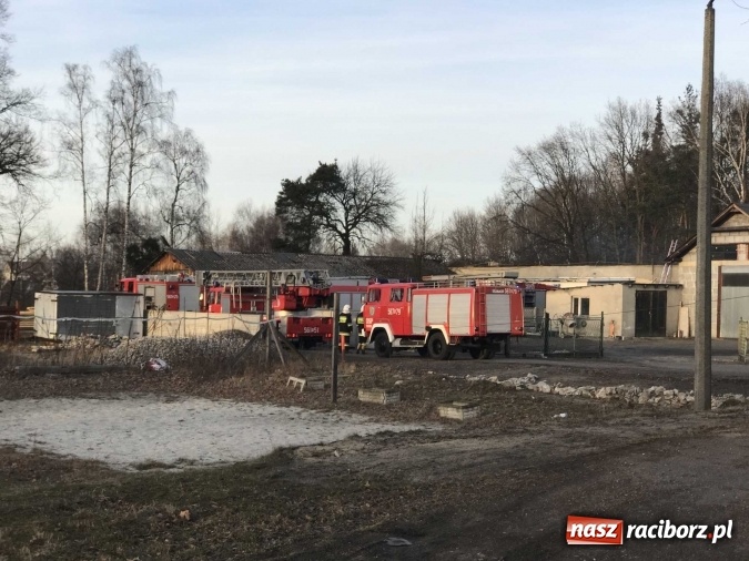 Zdjęcie w galerii na portalu naszraciborz.pl: Pożar w tartaku w Kuźni Raciborskiej FOTO wiadomości z regionu
