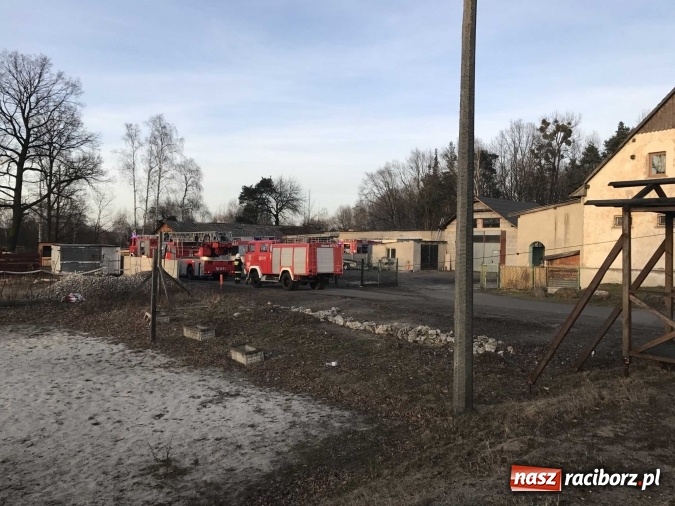 Zdjęcie w galerii na portalu naszraciborz.pl: Pożar w tartaku w Kuźni Raciborskiej FOTO wiadomości z regionu