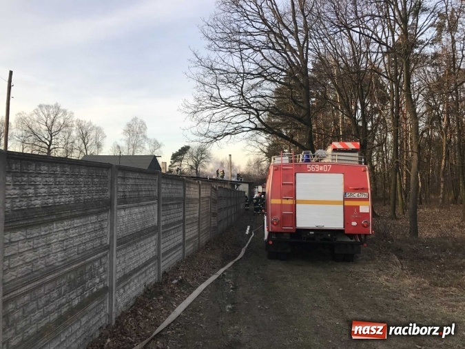 Zdjęcie w galerii na portalu naszraciborz.pl: Pożar w tartaku w Kuźni Raciborskiej FOTO wiadomości z regionu