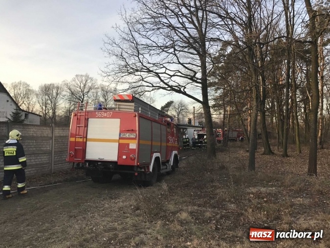 Zdjęcie w galerii na portalu naszraciborz.pl: Pożar w tartaku w Kuźni Raciborskiej FOTO wiadomości z regionu