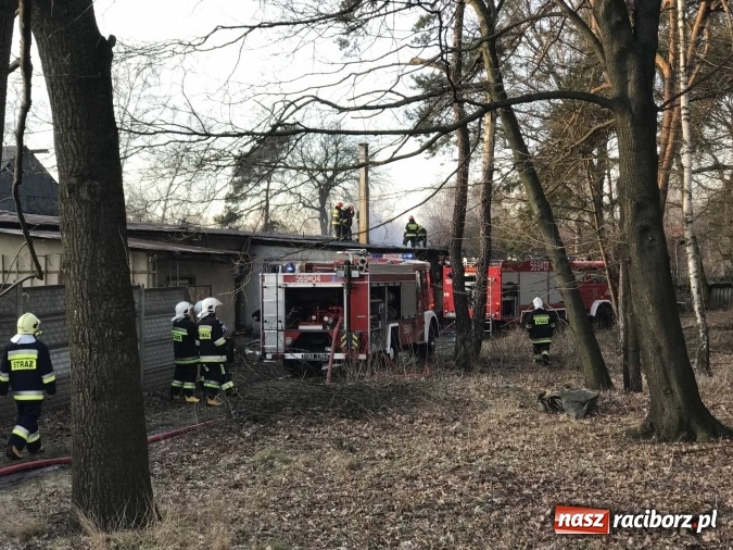 Zdjęcie w galerii na portalu naszraciborz.pl: Pożar w tartaku w Kuźni Raciborskiej FOTO wiadomości z regionu