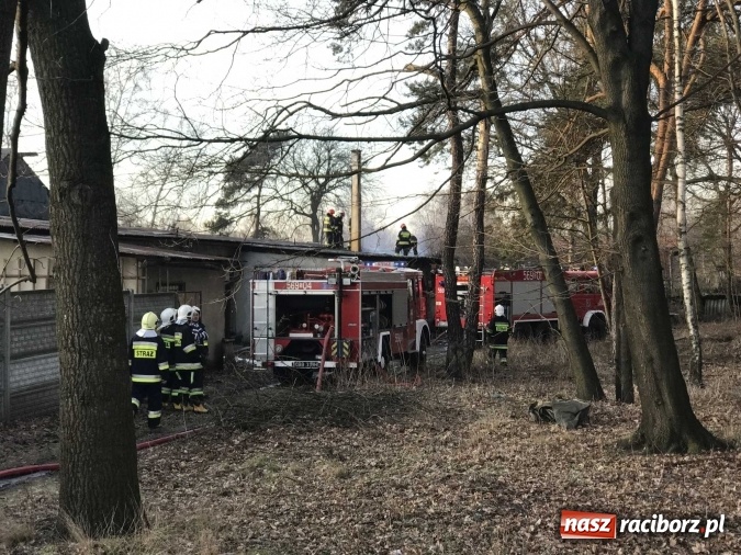 Zdjęcie w galerii na portalu naszraciborz.pl: Pożar w tartaku w Kuźni Raciborskiej FOTO wiadomości z regionu