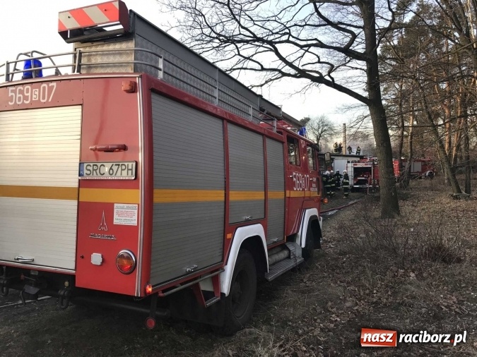Zdjęcie w galerii na portalu naszraciborz.pl: Pożar w tartaku w Kuźni Raciborskiej FOTO wiadomości z regionu