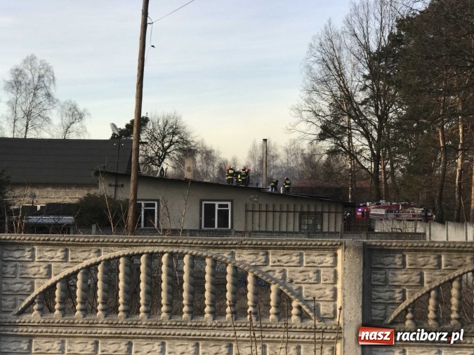 Zdjęcie w galerii na portalu naszraciborz.pl: Pożar w tartaku w Kuźni Raciborskiej FOTO wiadomości z regionu