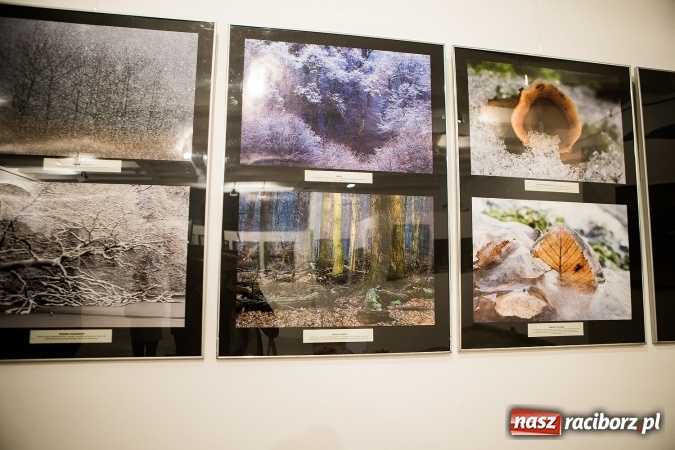 Zdjęcie w galerii na portalu naszraciborz.pl: Wernisaż wystawy Sebastiana Krupy w raciborskim Muzeum wiadomości z regionu