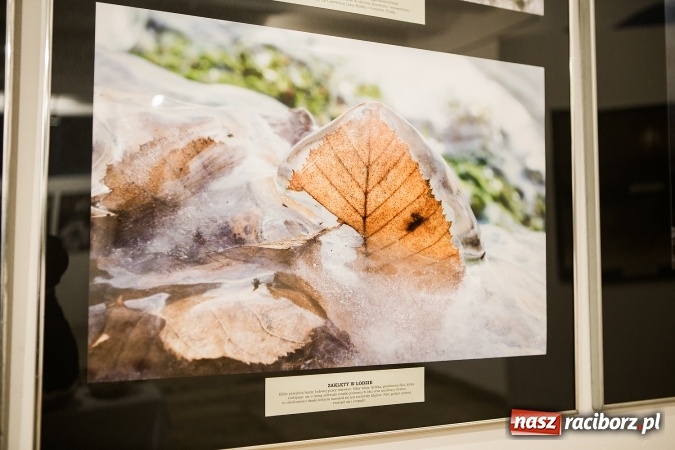 Zdjęcie w galerii na portalu naszraciborz.pl: Wernisaż wystawy Sebastiana Krupy w raciborskim Muzeum wiadomości z regionu