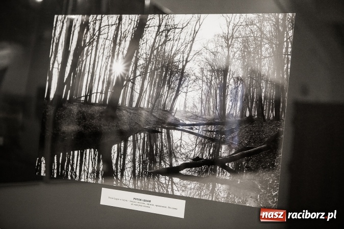 Zdjęcie w galerii na portalu naszraciborz.pl: Wernisaż wystawy Sebastiana Krupy w raciborskim Muzeum wiadomości z regionu