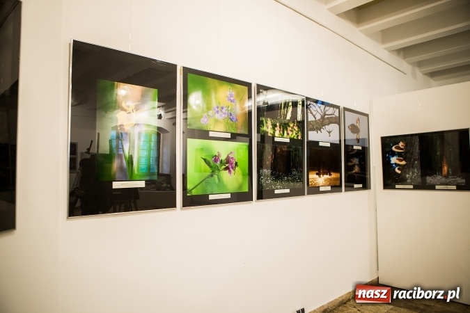 Zdjęcie w galerii na portalu naszraciborz.pl: Wernisaż wystawy Sebastiana Krupy w raciborskim Muzeum wiadomości z regionu