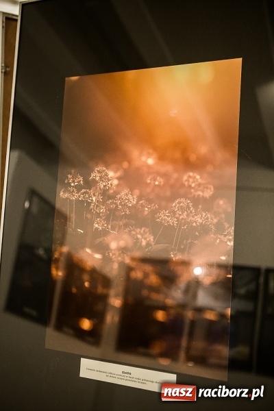 Zdjęcie w galerii na portalu naszraciborz.pl: Wernisaż wystawy Sebastiana Krupy w raciborskim Muzeum wiadomości z regionu