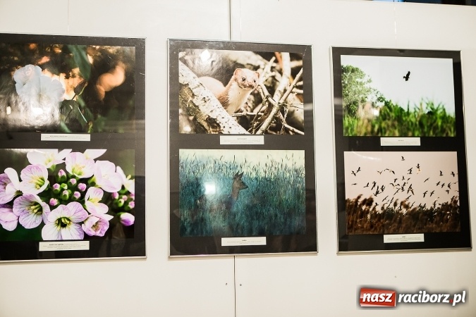 Zdjęcie w galerii na portalu naszraciborz.pl: Wernisaż wystawy Sebastiana Krupy w raciborskim Muzeum wiadomości z regionu