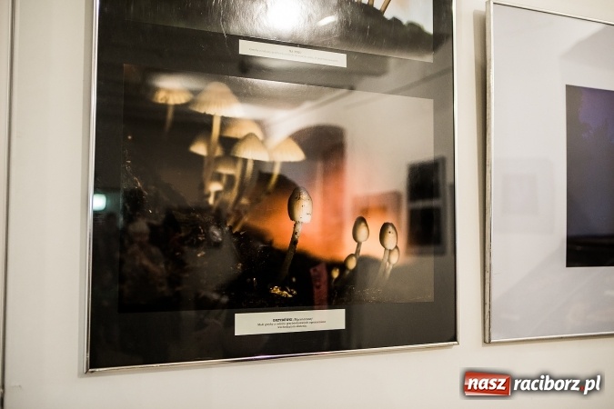 Zdjęcie w galerii na portalu naszraciborz.pl: Wernisaż wystawy Sebastiana Krupy w raciborskim Muzeum wiadomości z regionu