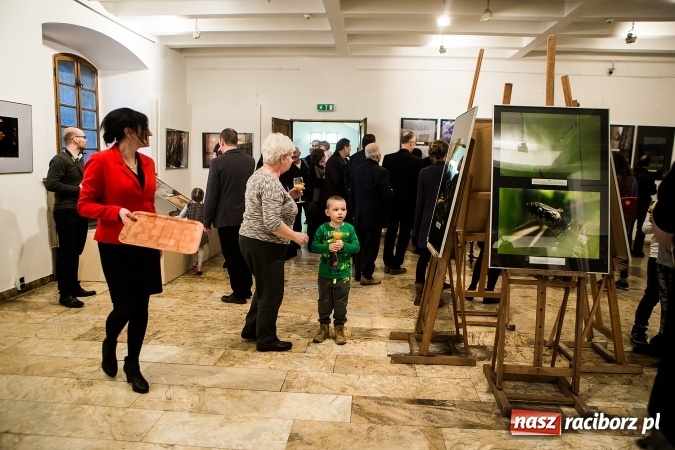 Zdjęcie w galerii na portalu naszraciborz.pl: Wernisaż wystawy Sebastiana Krupy w raciborskim Muzeum wiadomości z regionu