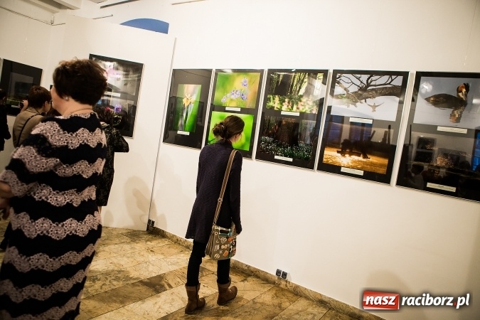 Zdjęcie w galerii na portalu naszraciborz.pl: Wernisaż wystawy Sebastiana Krupy w raciborskim Muzeum wiadomości z regionu