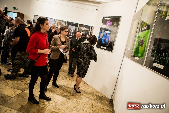 Zdjęcie w galerii na portalu naszraciborz.pl: Wernisaż wystawy Sebastiana Krupy w raciborskim Muzeum wiadomości z regionu