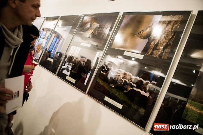 Zdjęcie w galerii na portalu naszraciborz.pl: Wernisaż wystawy Sebastiana Krupy w raciborskim Muzeum wiadomości z regionu