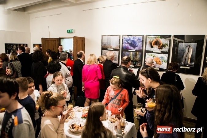 Zdjęcie w galerii na portalu naszraciborz.pl: Wernisaż wystawy Sebastiana Krupy w raciborskim Muzeum wiadomości z regionu