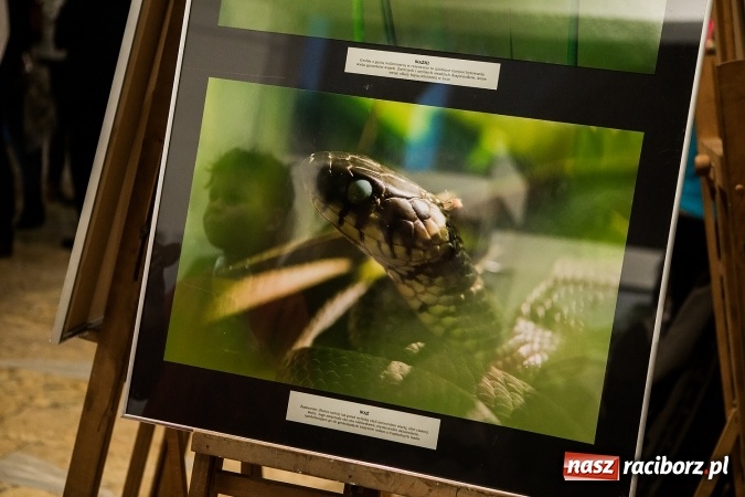 Zdjęcie w galerii na portalu naszraciborz.pl: Wernisaż wystawy Sebastiana Krupy w raciborskim Muzeum wiadomości z regionu