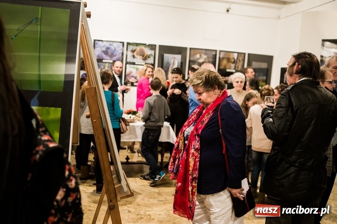 Zdjęcie w galerii na portalu naszraciborz.pl: Wernisaż wystawy Sebastiana Krupy w raciborskim Muzeum wiadomości z regionu