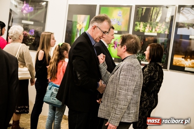 Zdjęcie w galerii na portalu naszraciborz.pl: Wernisaż wystawy Sebastiana Krupy w raciborskim Muzeum wiadomości z regionu