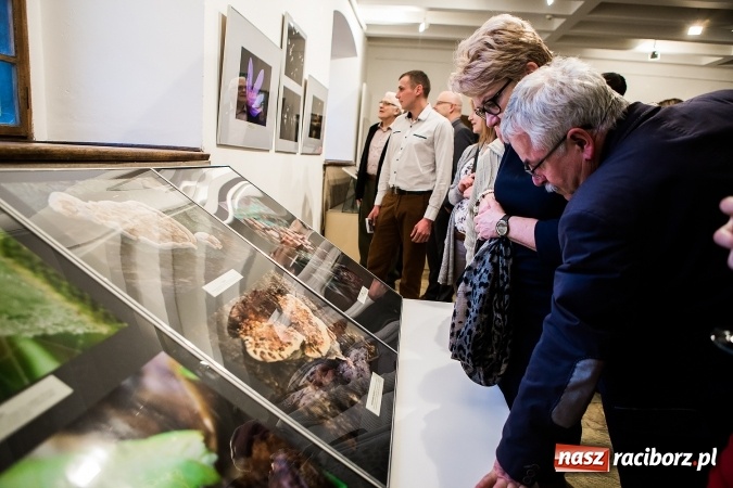Zdjęcie w galerii na portalu naszraciborz.pl: Wernisaż wystawy Sebastiana Krupy w raciborskim Muzeum wiadomości z regionu