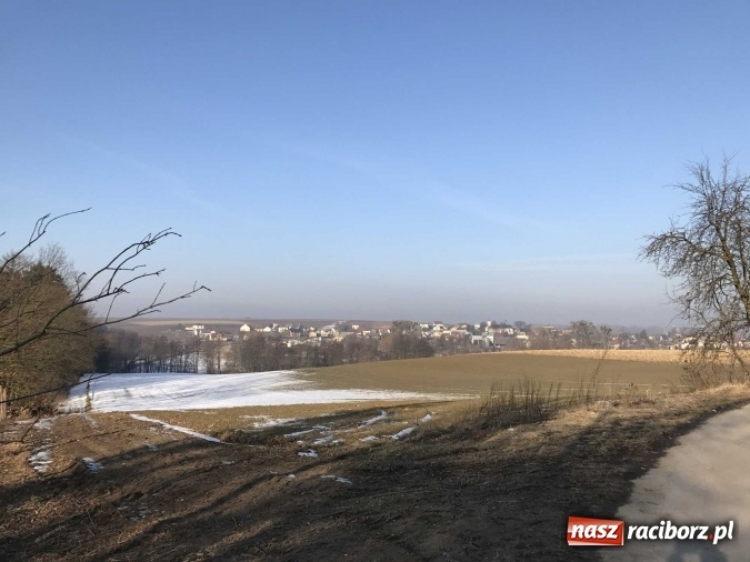 Zdjęcie w galerii na portalu naszraciborz.pl: Leśnicy wycięli kolejny fragment lasu Urbanek na granicy Tworkowa i Bolesławia wiadomości z regionu
