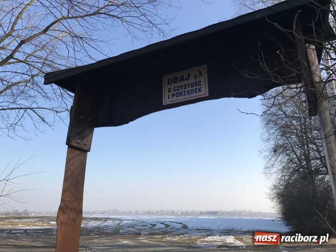 Zdjęcie w galerii na portalu naszraciborz.pl: Leśnicy wycięli kolejny fragment lasu Urbanek na granicy Tworkowa i Bolesławia wiadomości z regionu