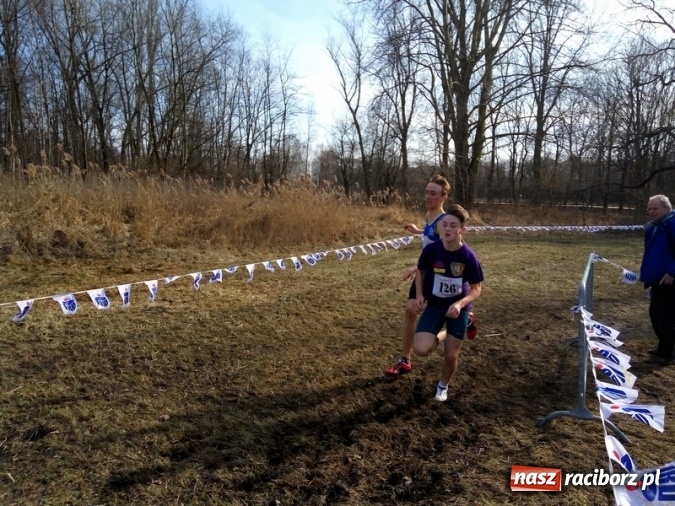 Zdjęcie w galerii na portalu naszraciborz.pl: Biegi przełajowe. Anna Szyjka i Krzysztof Turski ze złotem wiadomości z regionu