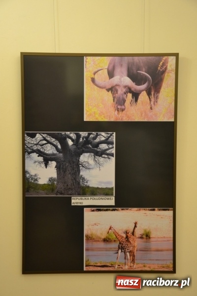 Zdjęcie w galerii na portalu naszraciborz.pl: Z bliska i z daleka - wernisaż wystawy fotografii Wiktora Luci na Zamku Piastowskim wiadomości z regionu