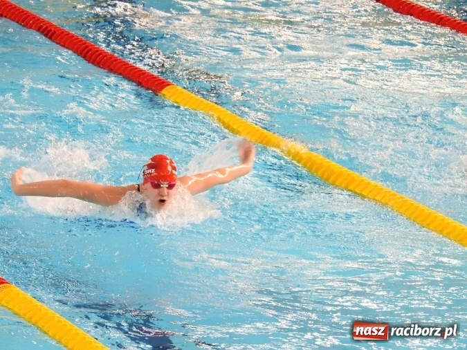 Zdjęcie w galerii na portalu naszraciborz.pl: Pływanie. Raciborskie sztafety na medal  wiadomości z regionu