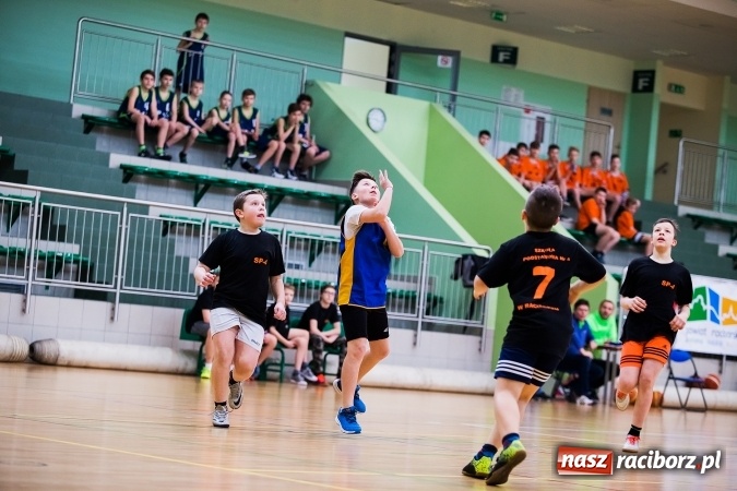 Zdjęcie w galerii na portalu naszraciborz.pl: Miejski Finał Szkół Podstawowych w Piłce Koszykowej Chłopców wiadomości z regionu