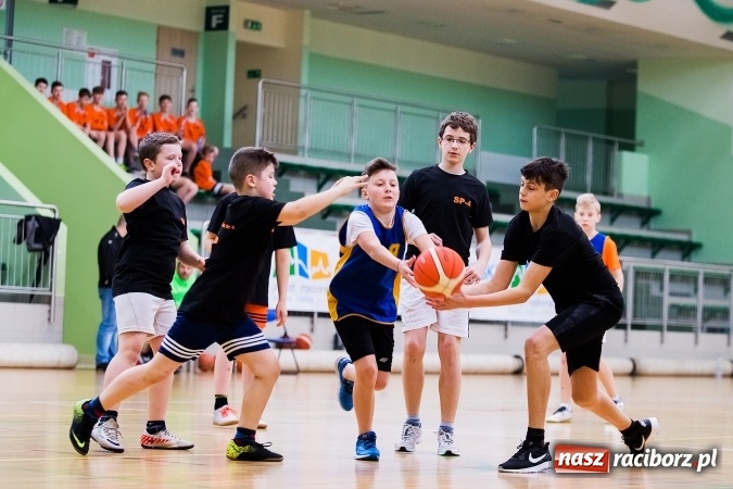 Zdjęcie w galerii na portalu naszraciborz.pl: Miejski Finał Szkół Podstawowych w Piłce Koszykowej Chłopców wiadomości z regionu