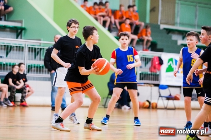 Zdjęcie w galerii na portalu naszraciborz.pl: Miejski Finał Szkół Podstawowych w Piłce Koszykowej Chłopców wiadomości z regionu