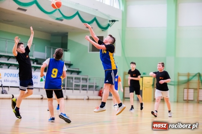 Zdjęcie w galerii na portalu naszraciborz.pl: Miejski Finał Szkół Podstawowych w Piłce Koszykowej Chłopców wiadomości z regionu