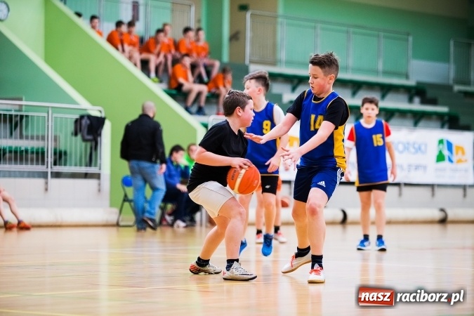 Zdjęcie w galerii na portalu naszraciborz.pl: Miejski Finał Szkół Podstawowych w Piłce Koszykowej Chłopców wiadomości z regionu