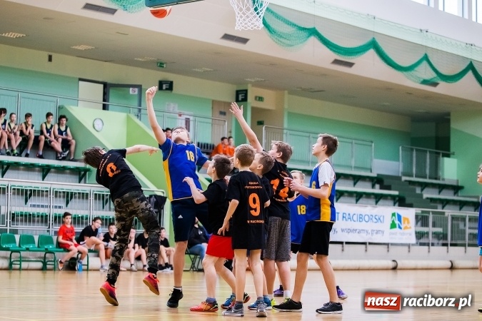 Zdjęcie w galerii na portalu naszraciborz.pl: Miejski Finał Szkół Podstawowych w Piłce Koszykowej Chłopców wiadomości z regionu
