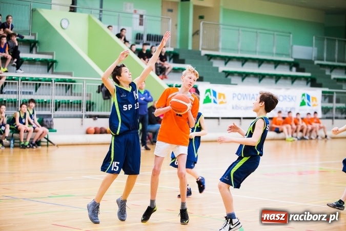 Zdjęcie w galerii na portalu naszraciborz.pl: Miejski Finał Szkół Podstawowych w Piłce Koszykowej Chłopców wiadomości z regionu