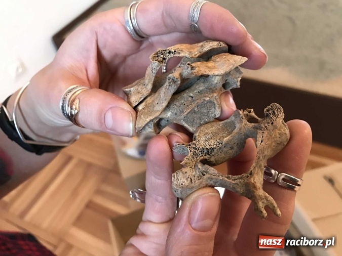 Zdjęcie w galerii na portalu naszraciborz.pl: Nekropolia skazańców - nowa wystawa w raciborskim Muzeum  wiadomości z regionu