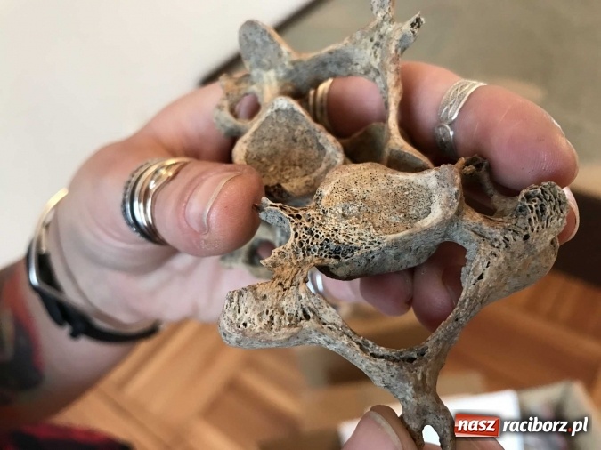 Zdjęcie w galerii na portalu naszraciborz.pl: Nekropolia skazańców - nowa wystawa w raciborskim Muzeum  wiadomości z regionu