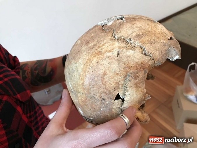 Zdjęcie w galerii na portalu naszraciborz.pl: Nekropolia skazańców - nowa wystawa w raciborskim Muzeum  wiadomości z regionu