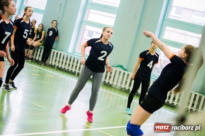 Zdjęcie w galerii na portalu naszraciborz.pl: Siatkarki z Gimnazjum nr 3 najlepsze w mieście wiadomości z regionu