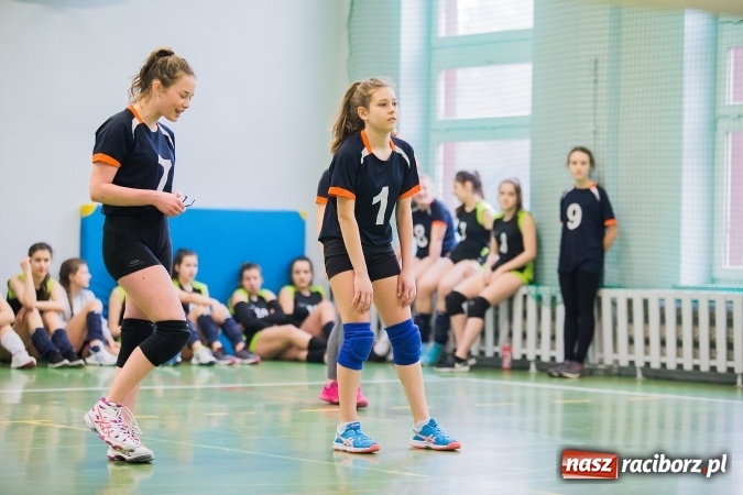 Zdjęcie w galerii na portalu naszraciborz.pl: Siatkarki z Gimnazjum nr 3 najlepsze w mieście wiadomości z regionu