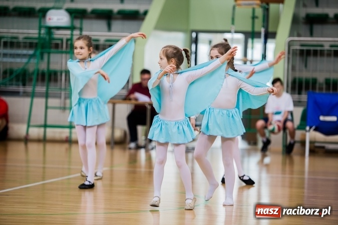 Zdjęcie w galerii na portalu naszraciborz.pl: Siatkarski Turniej Zakładów Pracy i Służb Mundurowych: Eko-Okna znów zwycięskie wiadomości z regionu