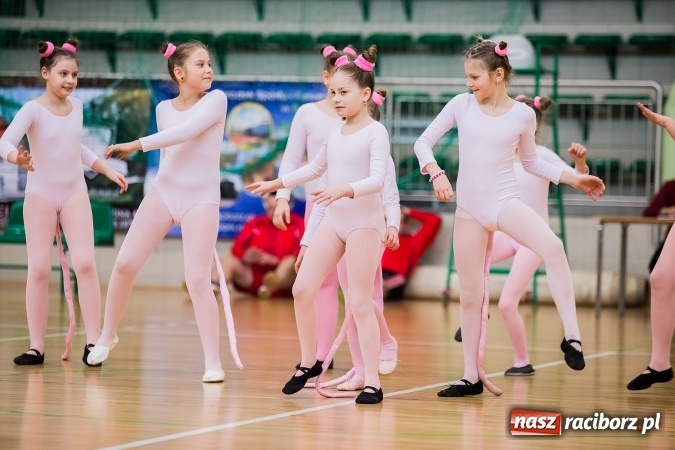 Zdjęcie w galerii na portalu naszraciborz.pl: Siatkarski Turniej Zakładów Pracy i Służb Mundurowych: Eko-Okna znów zwycięskie wiadomości z regionu