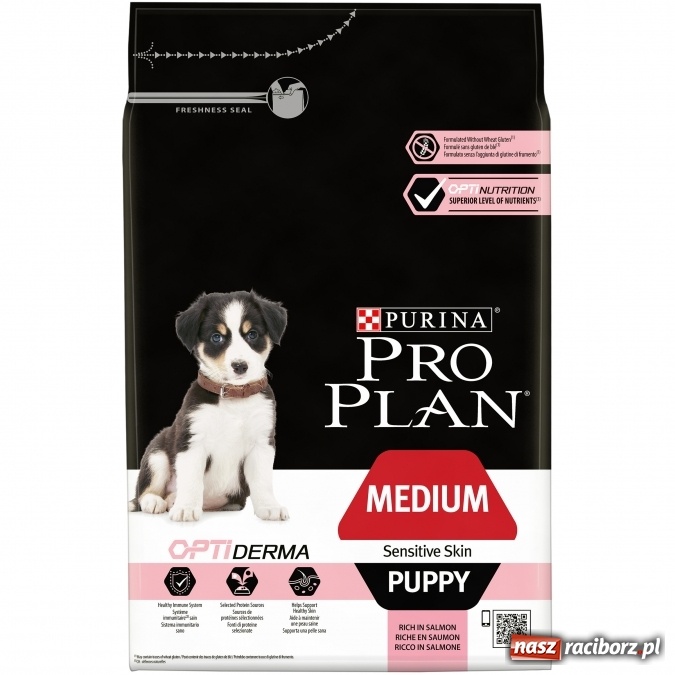 Zdjęcie w galerii na portalu naszraciborz.pl: Czy twój pies linieje na wiosnę? Pomożemy ci wiadomości z regionu