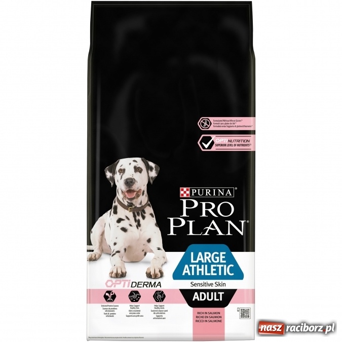 Zdjęcie w galerii na portalu naszraciborz.pl: Czy twój pies linieje na wiosnę? Pomożemy ci wiadomości z regionu