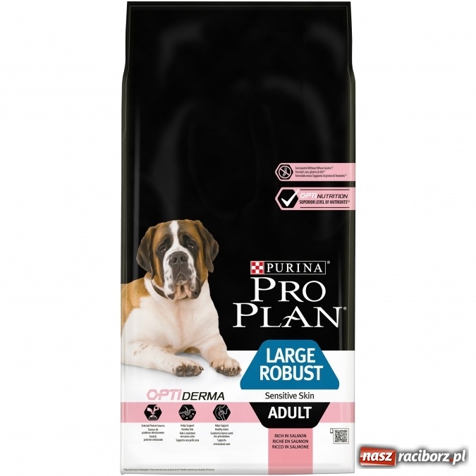 Zdjęcie w galerii na portalu naszraciborz.pl: Czy twój pies linieje na wiosnę? Pomożemy ci wiadomości z regionu