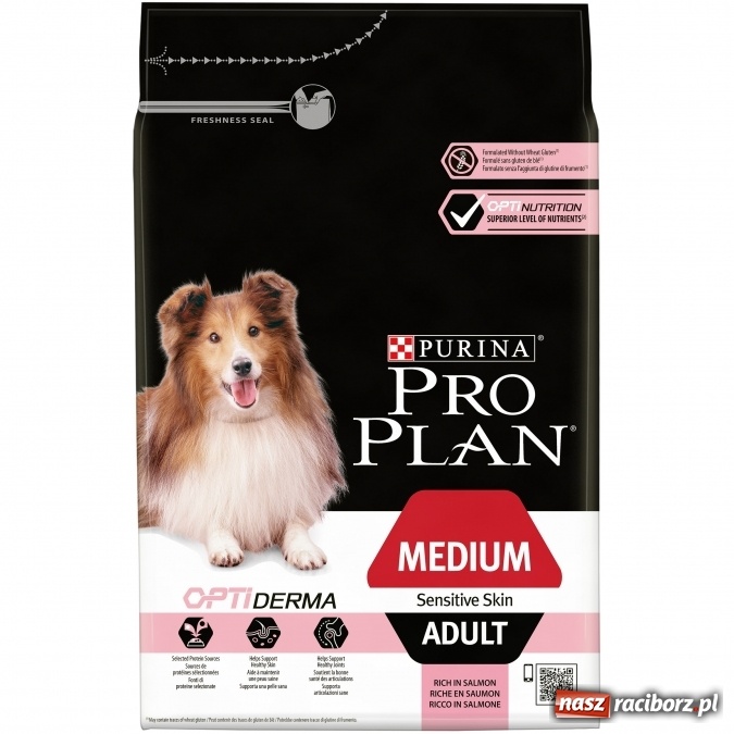 Zdjęcie w galerii na portalu naszraciborz.pl: Czy twój pies linieje na wiosnę? Pomożemy ci wiadomości z regionu